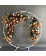 2M Round Backdrop with Mesh good for wedding party event