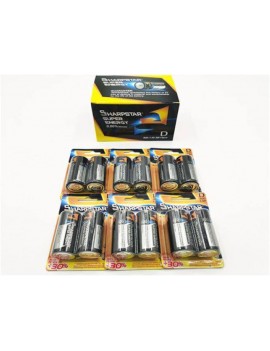 D Batteries One box /12PCS  Brand New